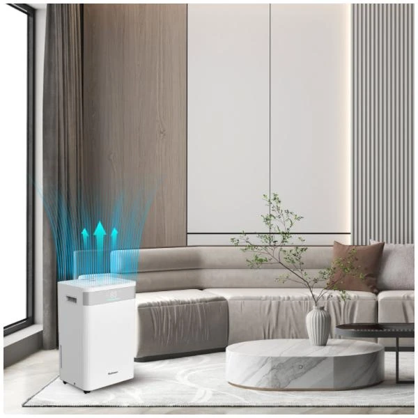 Обезвлажнител  Rohnson  R-91620 ION